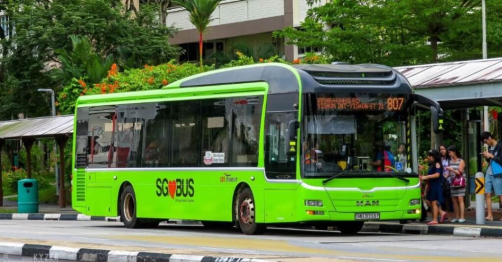 Singapore's Bus Network: A Definitive How-To for Tourists A bus from the Singapore's bus network picking up passengers at a bus stop.