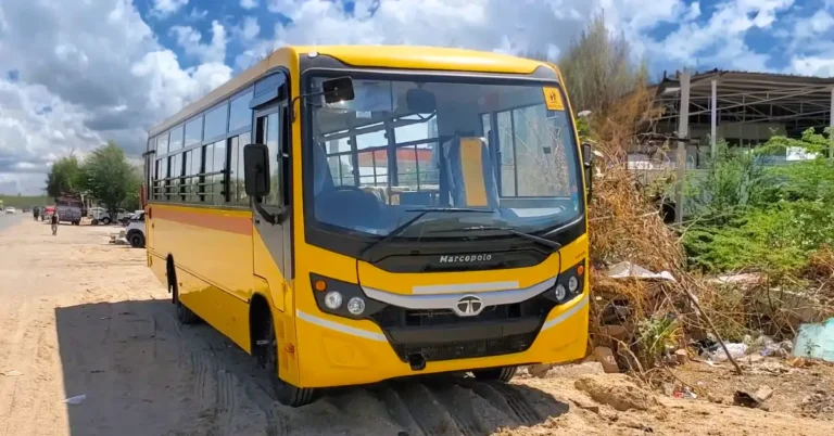 free bus travel for school students